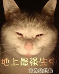 ������ǿ����